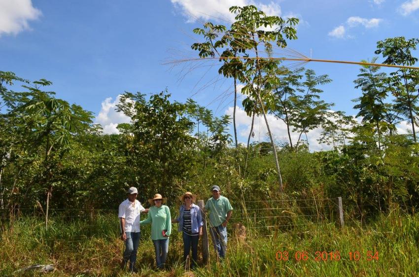 Ação: Intercâmbio de Experiências com a Cooperativa dos Garimpeiros do Vale do Rio Peixoto