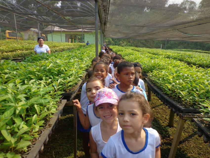 Ação: Dia da Árvore com alunos da pré-escola