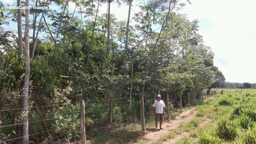 Ação: Vistoria e monitoramento em APP na propriedade do Sr. Valdecyr Alexandre Leal