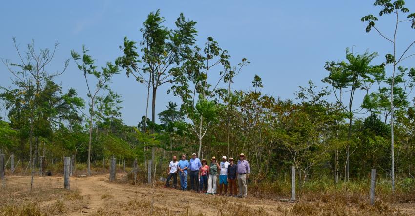 Ação: Projeto Nascentes do Buriti recebe visita da delegação da Alemanha 