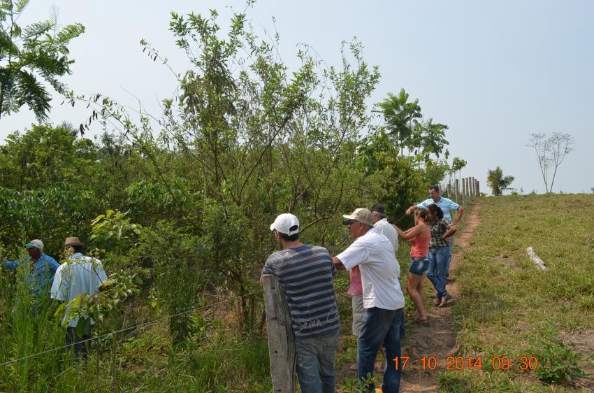 Ação: Dia de Campo Sitio Eldorado - Eugênio Mendes dos Reis