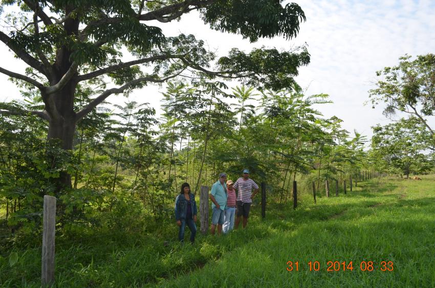 Ação: Dia de Campo Sitio Santa Maria - Benedito Antonio Ragonha